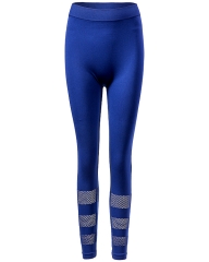 Vital Seamless Mesh Design Leggings Available in a Variety of Colors and Sizes from China Activewear Factory