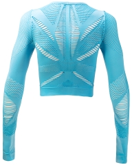 Custom-Made Seamless Long Sleeve Crop Top for Your Business from China Activewear Factory