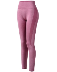 Women’s Sustainable Vital Seamless Workout Leggings from a Leading China Activewear Factory, Custom Now!