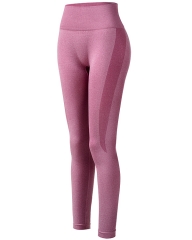 NVGTN Activewear OEM Factory: Customizable Vital Contour Seamless Leggings