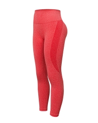 NVGTN Activewear OEM Factory: High-Quality Vital Seamless Leggings